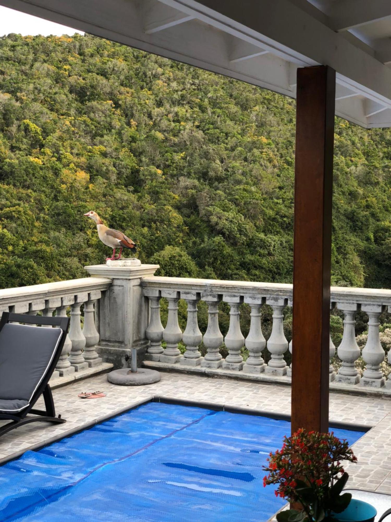 Livingstone Villa Wilderness Exterior photo